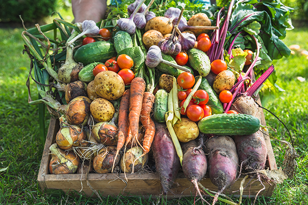 Growing Produce